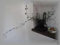 c0120363_15835.jpg