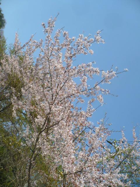 a0063364_2157587.jpg