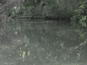 b0122664_147150.jpg