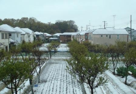 c0113964_040219.jpg