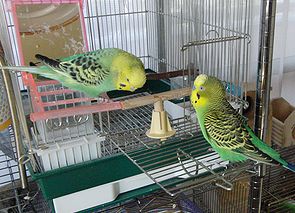f0196665_23371843.jpg