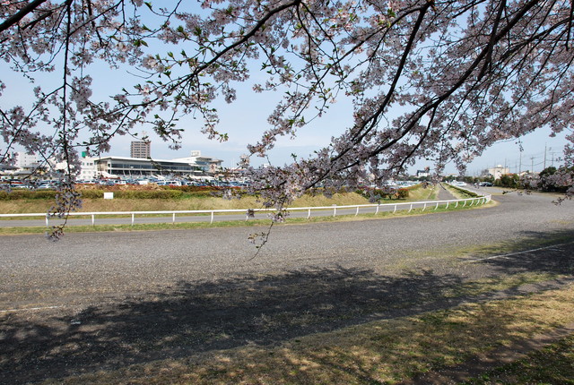 b0174068_2222249.jpg