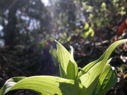 c0042869_1782273.jpg