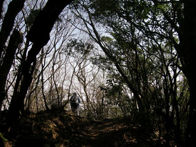 c0042869_1836958.jpg