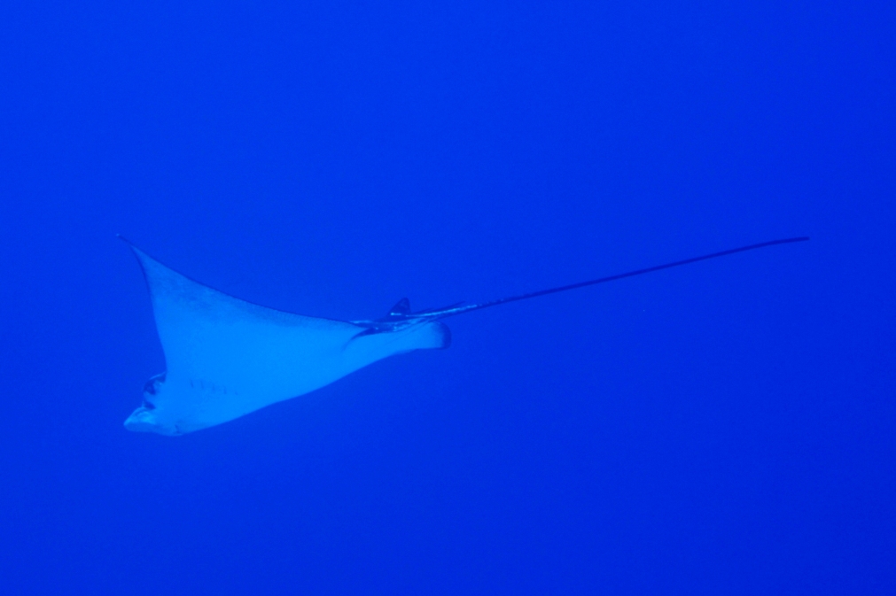 c0181073_15215276.jpg