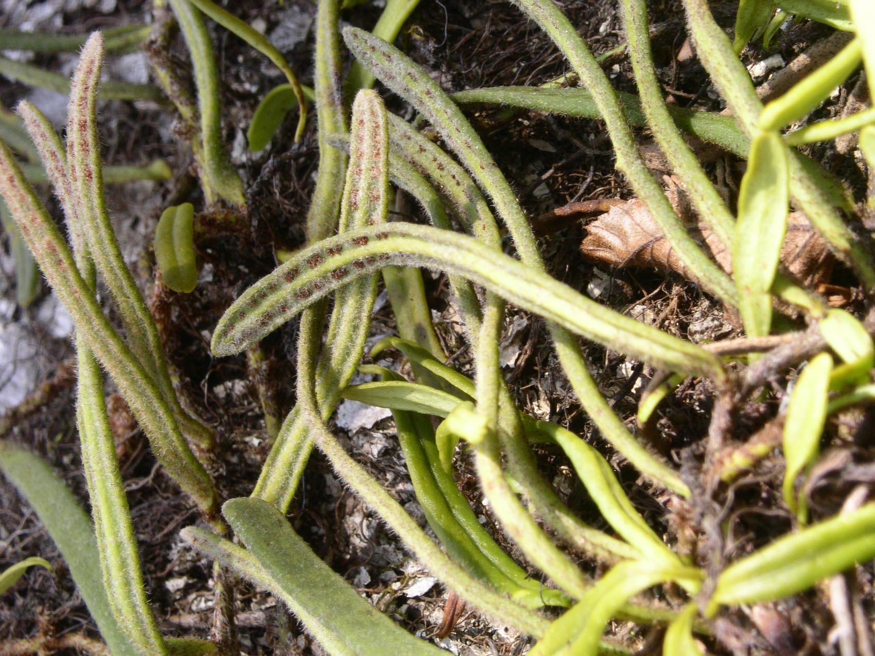 e0118274_2010591.jpg