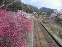 b0004675_2115790.jpg