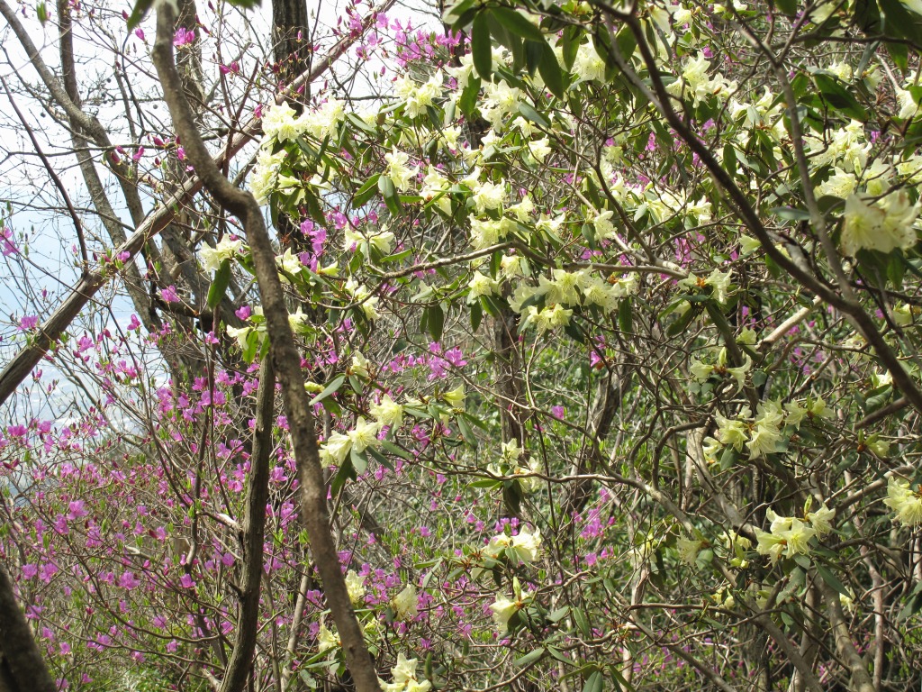 a0004180_2330827.jpg