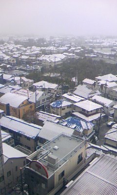 f0009781_205290.jpg