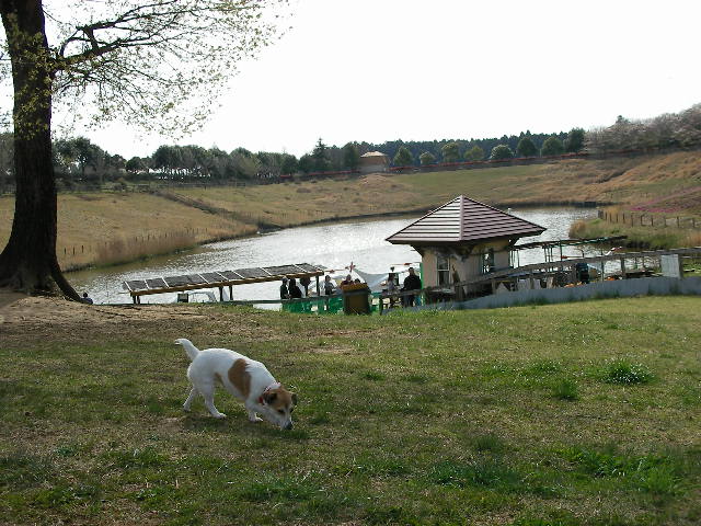 c0214384_22473417.jpg