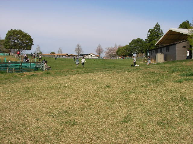 c0214384_22485838.jpg
