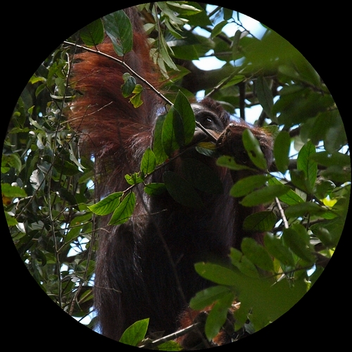 b0108186_23455268.jpg
