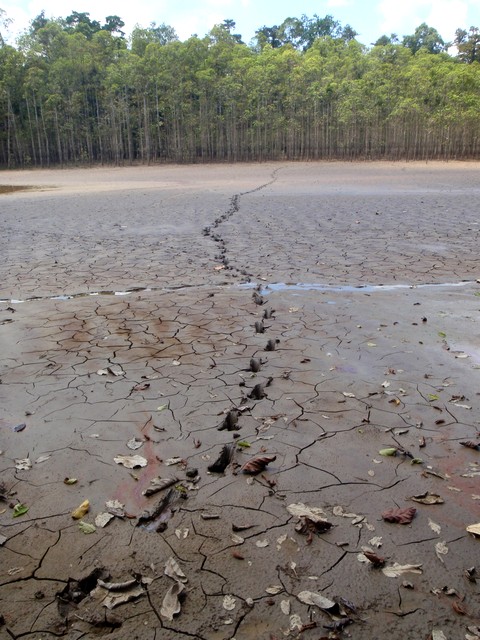b0108186_2394543.jpg