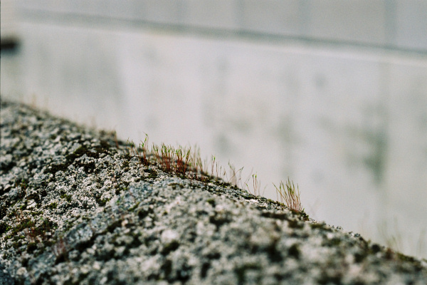 e0051186_751712.jpg