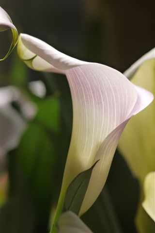 b0175688_211626.jpg