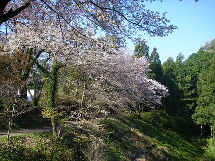 f0202990_23304299.jpg