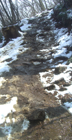 b0099994_12365684.jpg