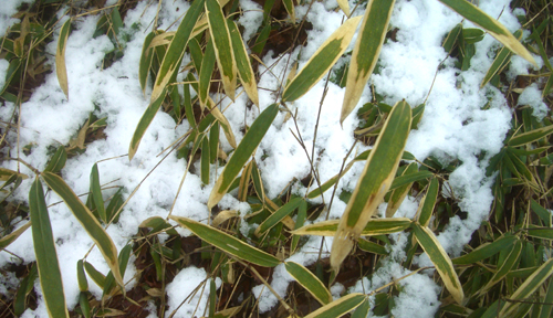 b0099994_12372726.jpg