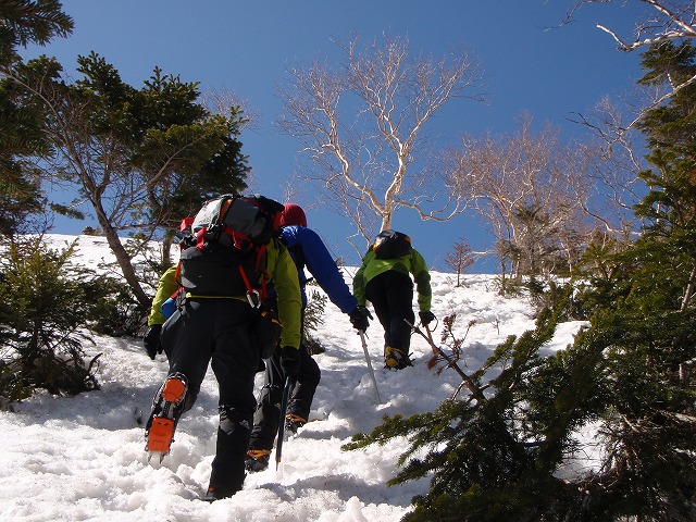 c0147398_017583.jpg