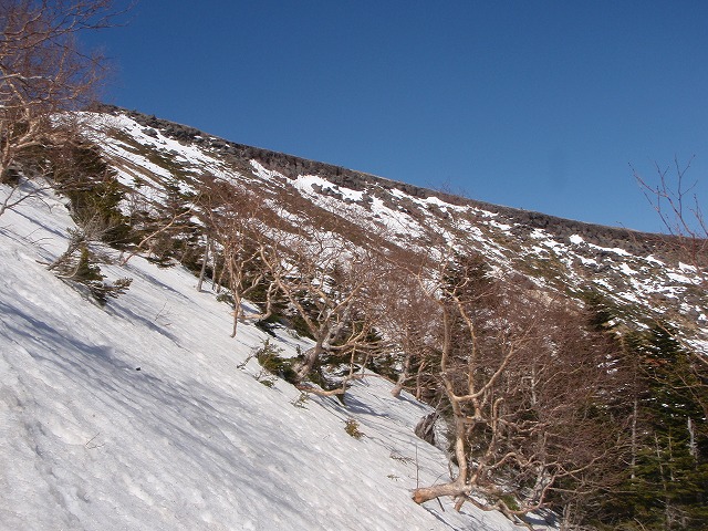 c0147398_0182710.jpg