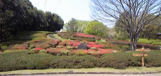 f0196800_7464632.jpg