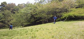 f0196800_7471243.jpg