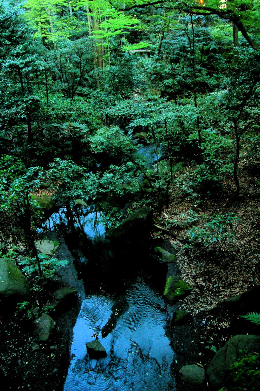 a0157704_15513179.jpg