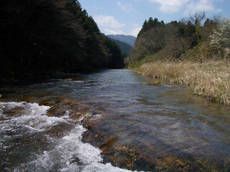 b0172805_351811.jpg