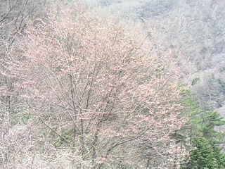 c0126205_1143719.jpg