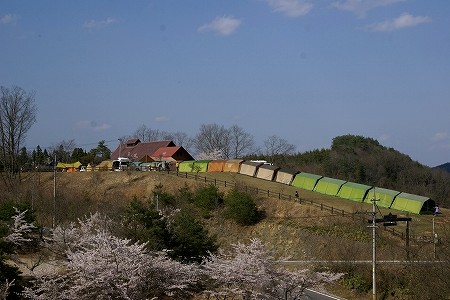 d0117006_13573387.jpg