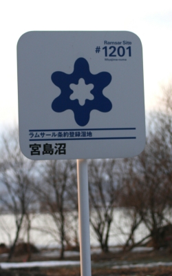 f0041606_20343721.jpg