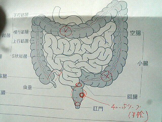 f0127408_23562861.jpg