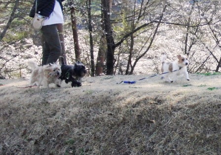 e0078510_20102582.jpg