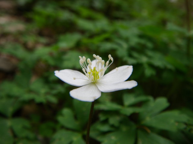 d0006512_23575955.jpg