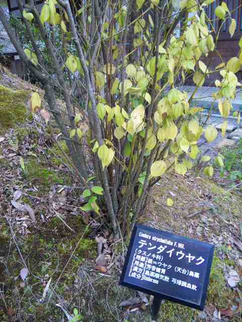 f0223014_062255.jpg