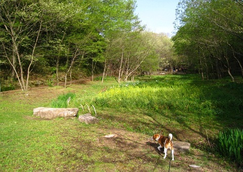 c0084117_18232922.jpg