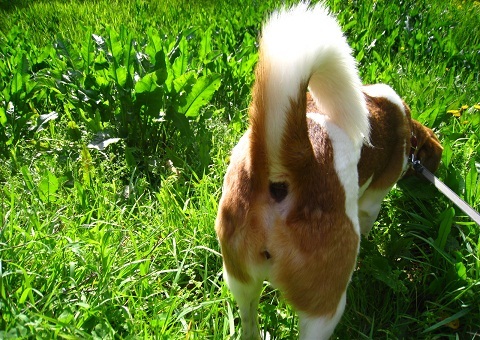 c0084117_18241699.jpg