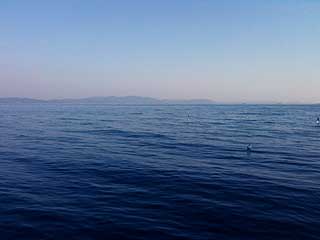 f0226817_19334237.jpg