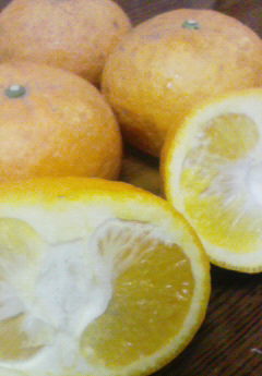 c0156018_9254139.jpg