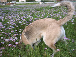 c0012120_23271210.jpg