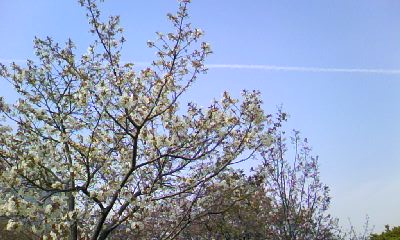 d0024220_21113346.jpg