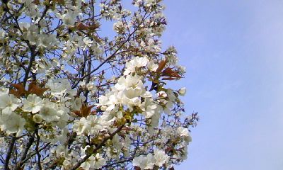 d0024220_2112556.jpg