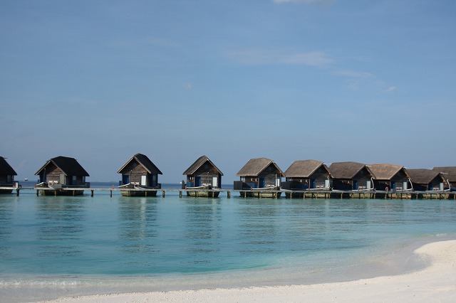 a0114521_1844549.jpg