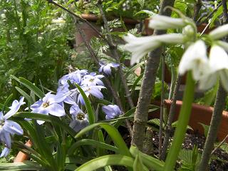 c0204121_14162786.jpg