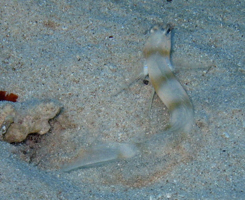 f0041021_19485825.jpg