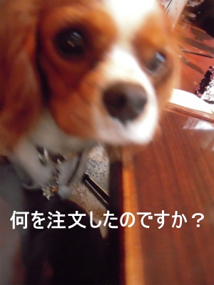 f0214121_2114695.jpg
