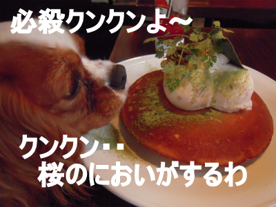 f0214121_21212971.jpg