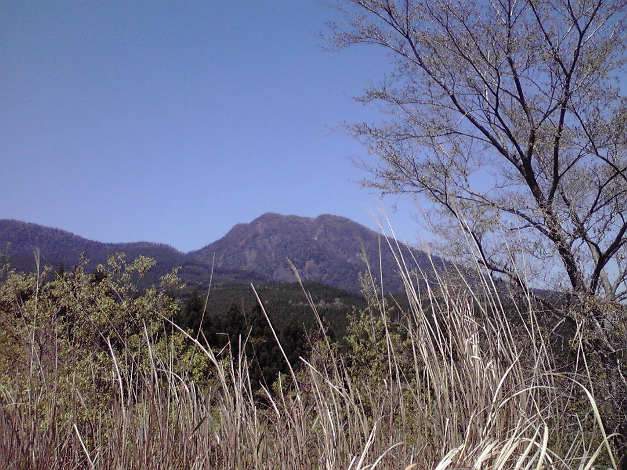 d0141922_12345681.jpg