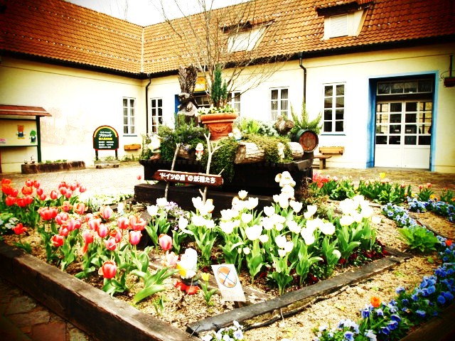 f0031722_15361215.jpg