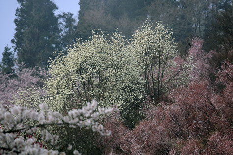 f0137324_20101191.jpg